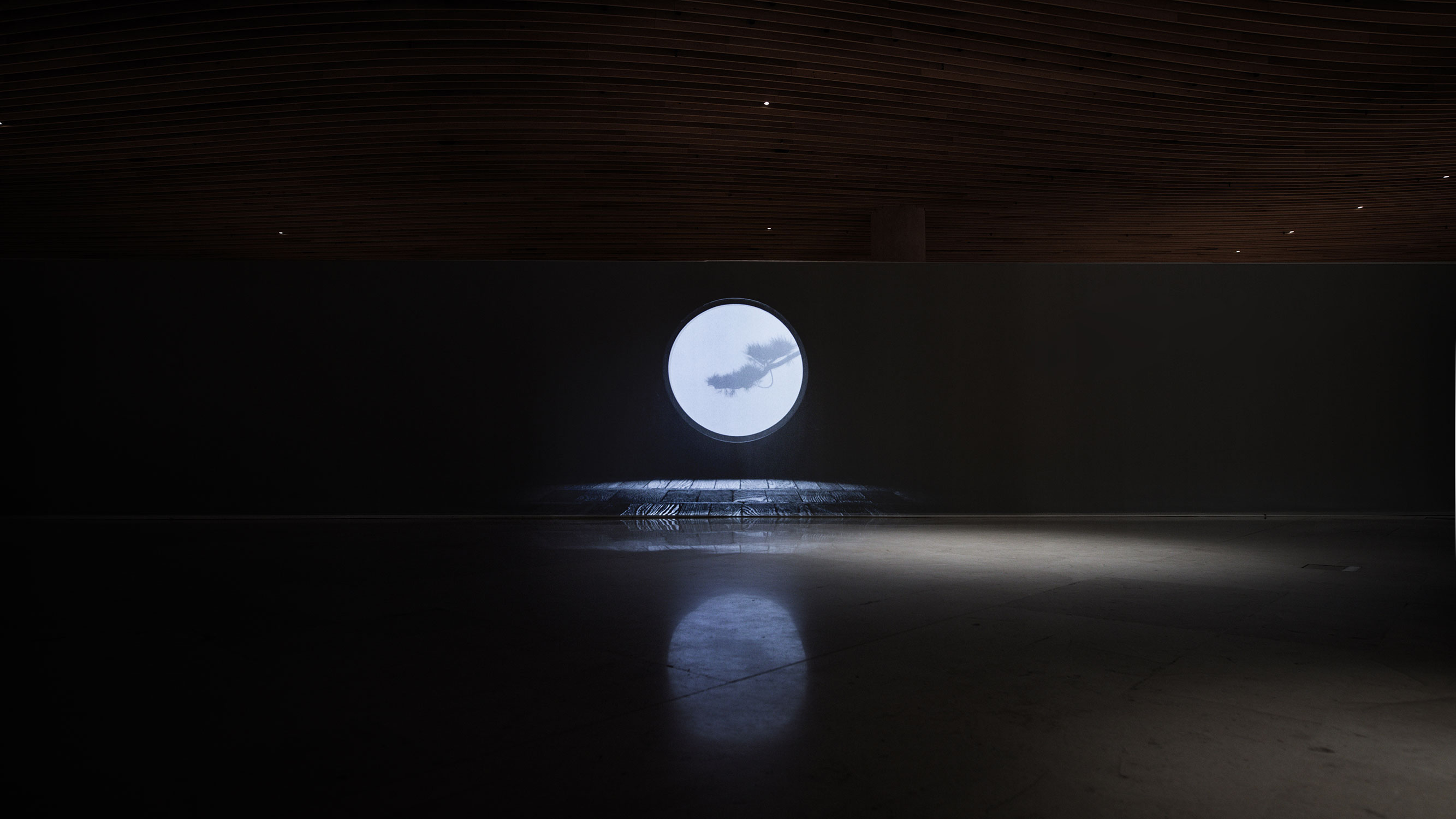 salon-national-des-beaux-arts-louvre-exposition-shun-kawakami-animation-installation-japon